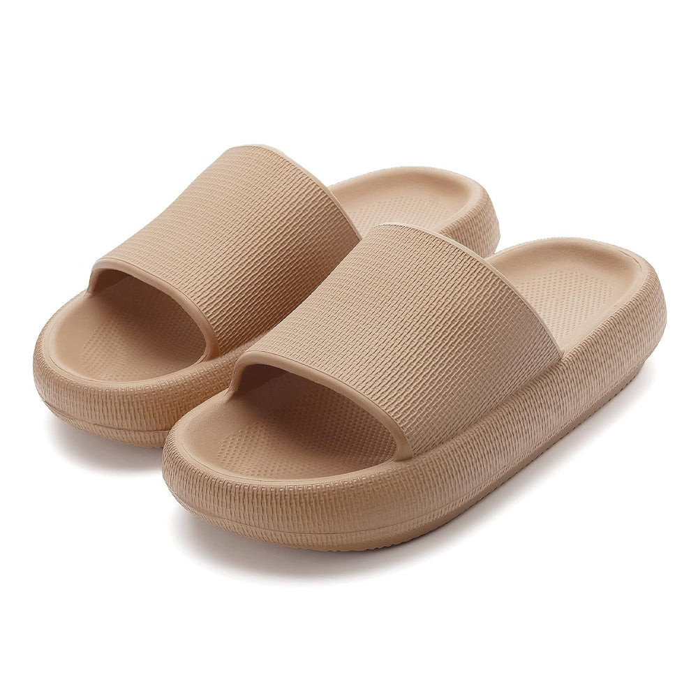 Slides Brown